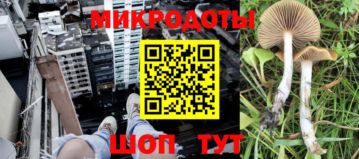 Псилоцибиновые грибы MAGIC MUSHROOMS Югорск