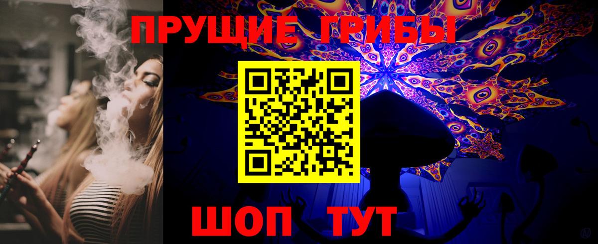 Югорск  Псилоцибиновые грибы Psilocybe  Вход с VPN 